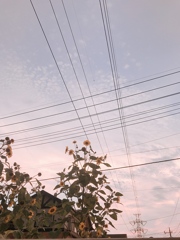 上を見ると