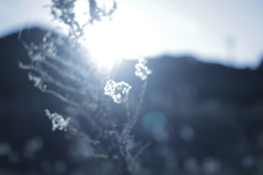 もう少しの距離