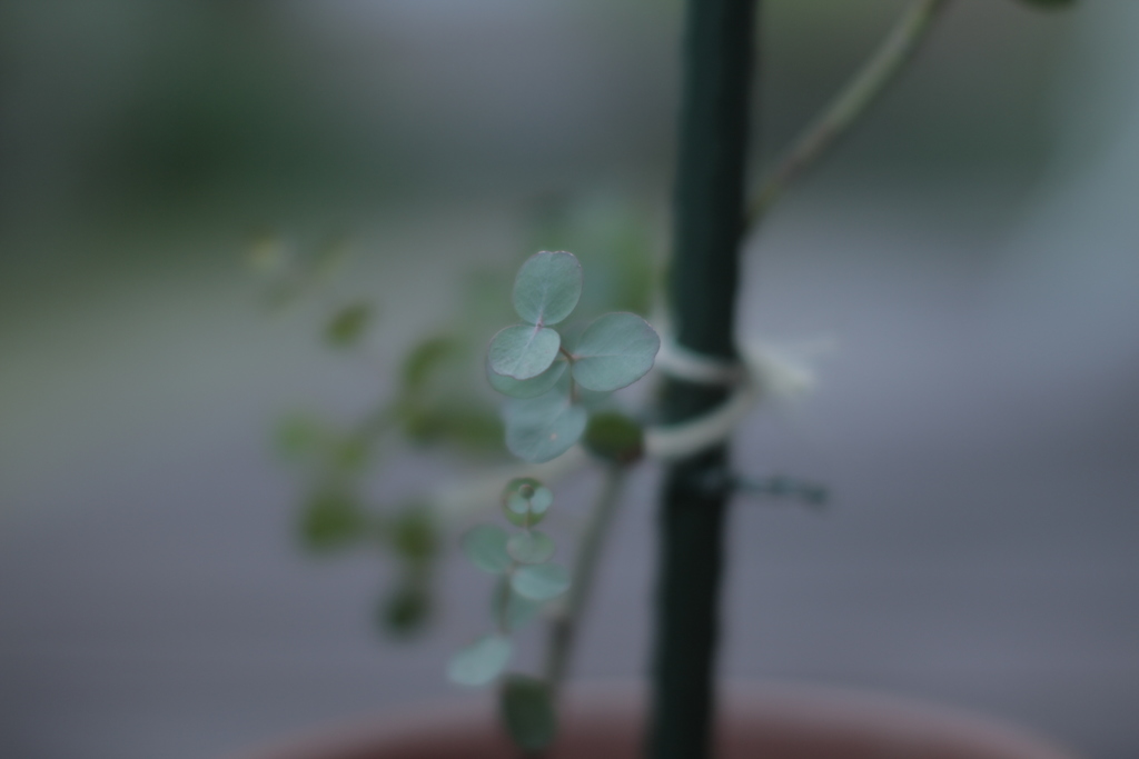包まれる時