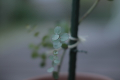 包まれる時
