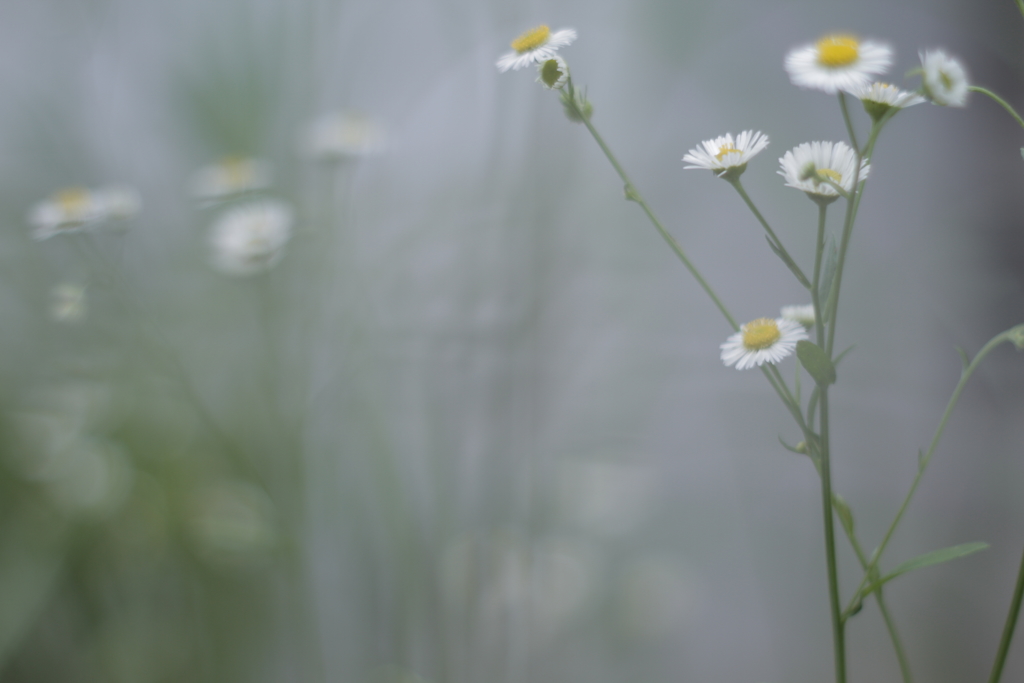 gently