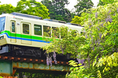 山藤と叡電