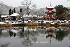 雪景色の多宝塔