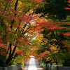 紅葉坂