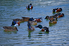 怒らないでよ～