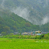 雨上がり