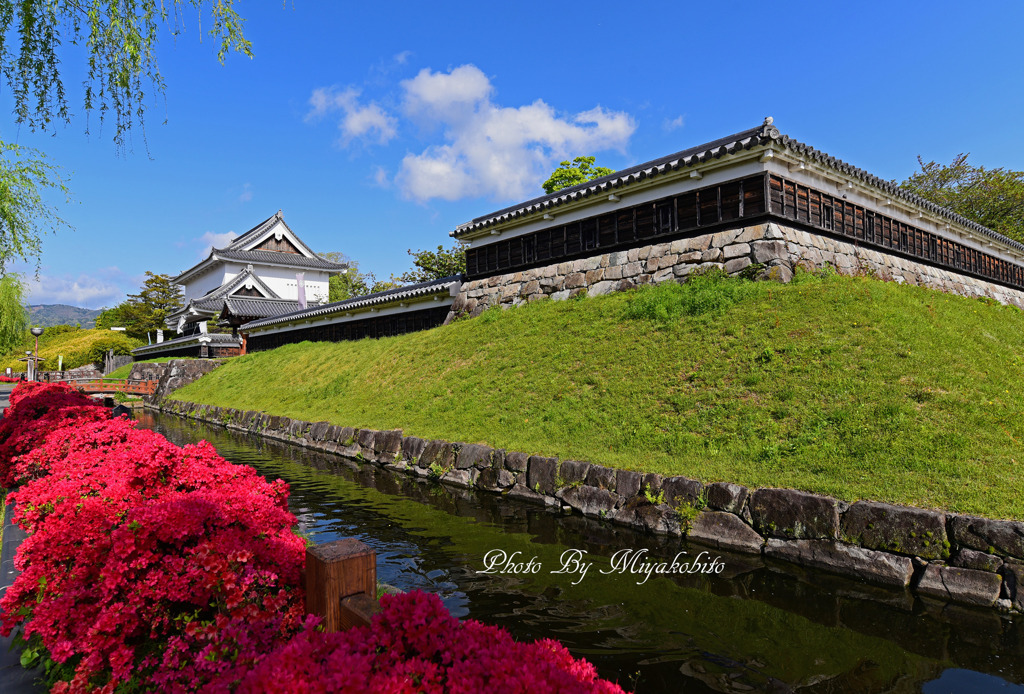 勝竜寺城