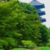 蓮と五重塔