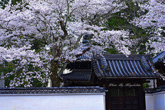 南禅寺　３