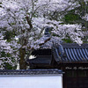 南禅寺　３