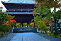 今日の南禅寺