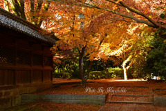 京都自然風景２００選