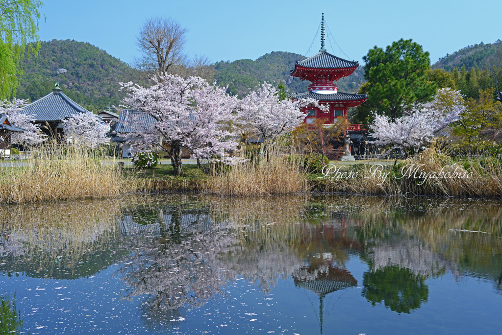シンメトリー