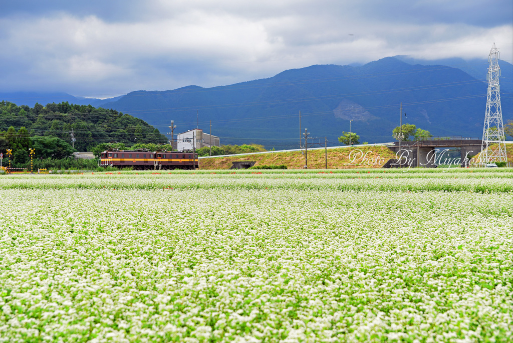 レロト電車