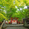 青紅葉2