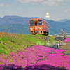 芝桜と列車