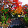 山寺