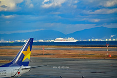 スカイマークと豪華客船