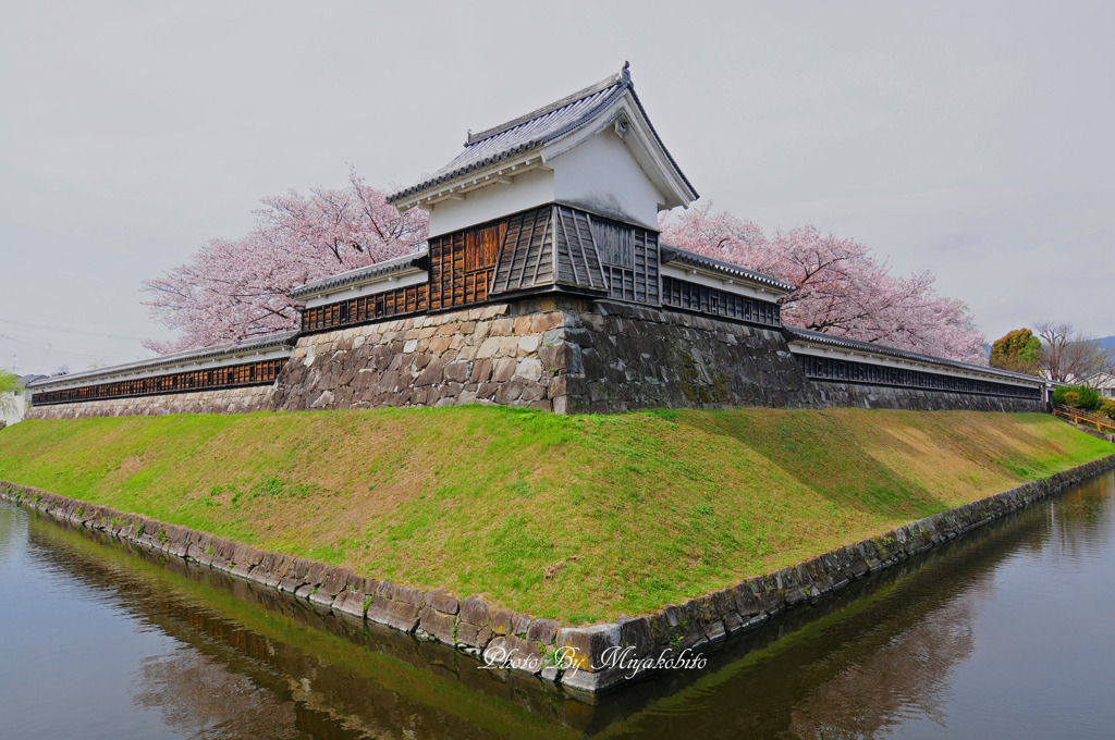 勝竜寺城