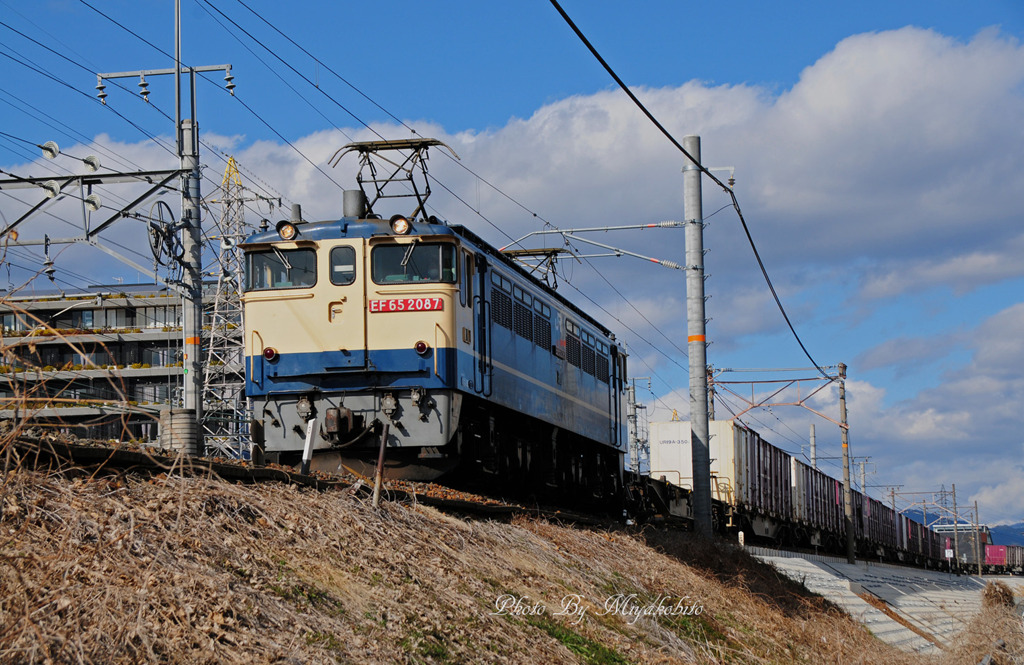 ＥＦ６５