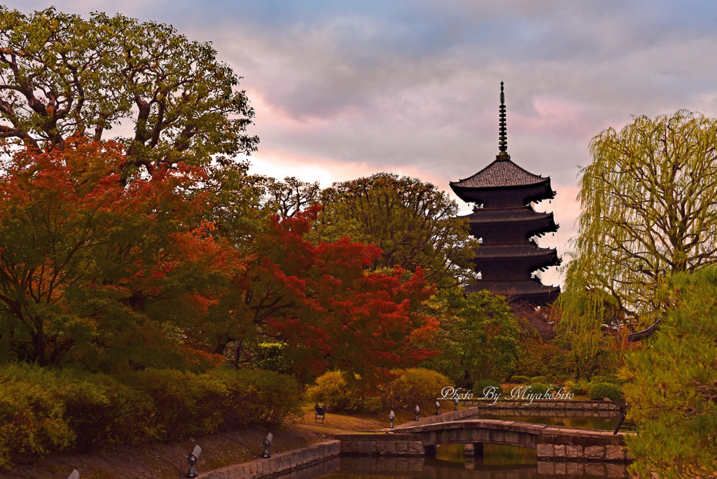 東寺の五重塔