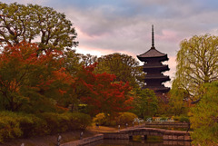 東寺の五重塔
