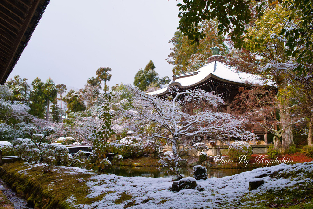 薄っすらと雪化粧