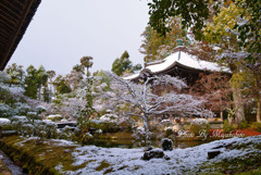 薄っすらと雪化粧
