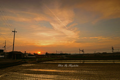 sunrise