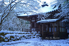 雪の愛宕念仏寺