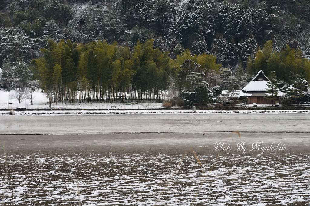 嵯峨野雪化粧