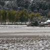 嵯峨野雪化粧