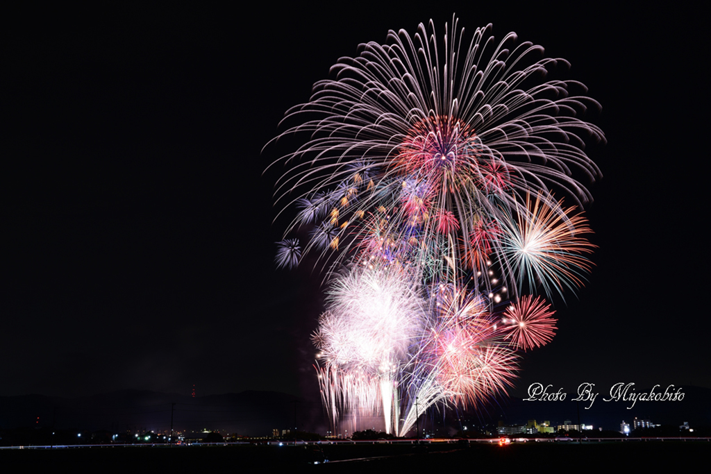 夜空の大輪