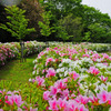 梅小路公園
