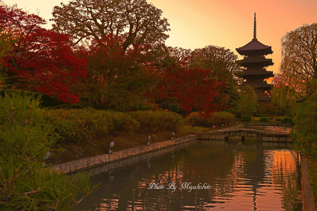 東寺の夜明け