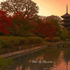 東寺の夜明け