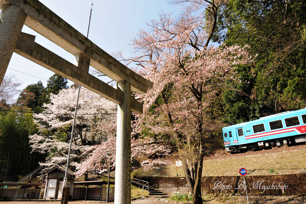 ひょっこり～