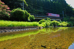 川の中は気持ちいい