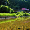 川の中は気持ちいい
