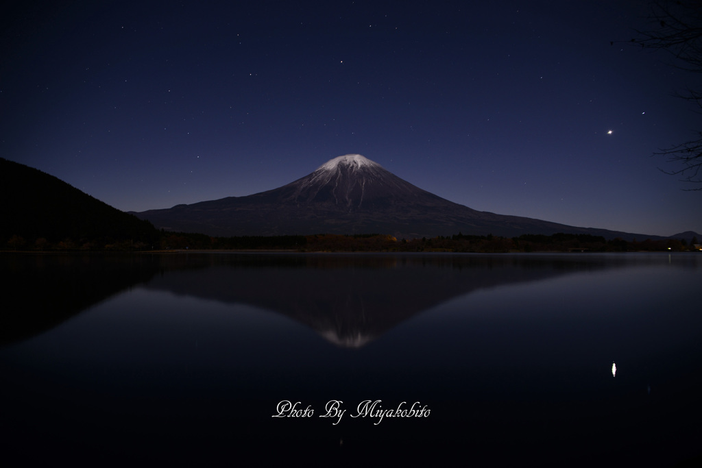 シンメトリー