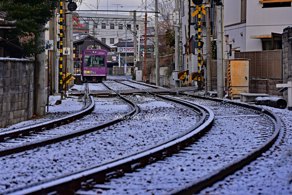 薄っすらと雪化粧