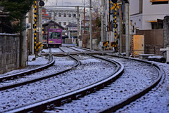 薄っすらと雪化粧