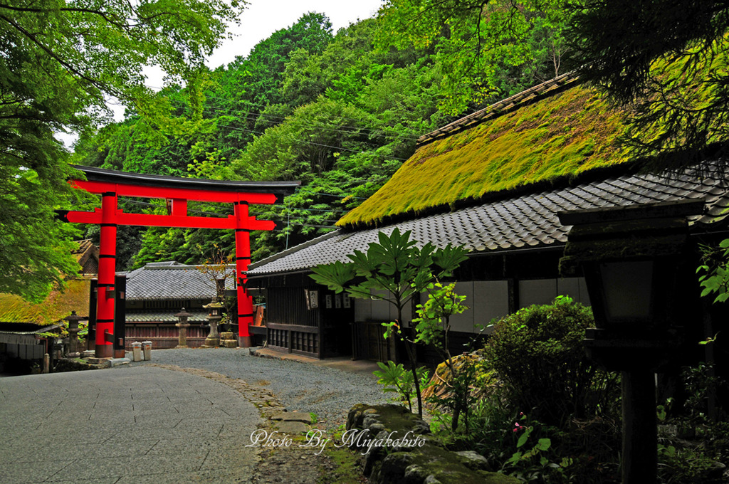 嵯峨野鳥居本