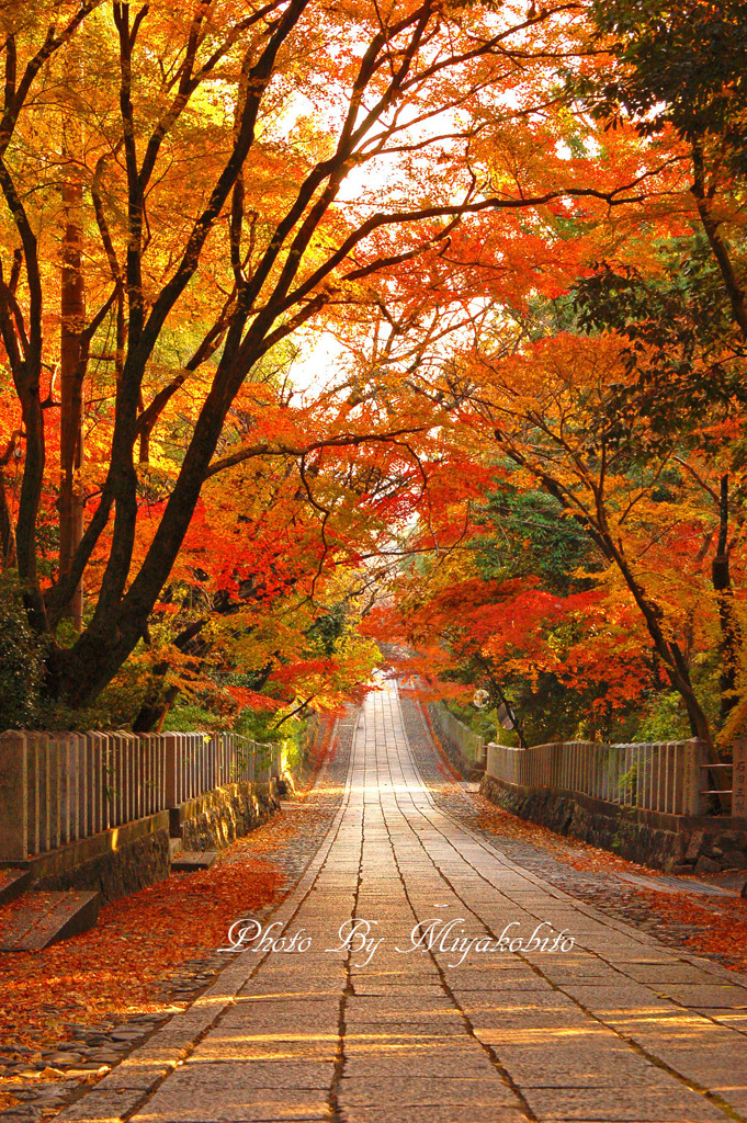 紅葉坂　２