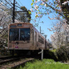 夕子電車