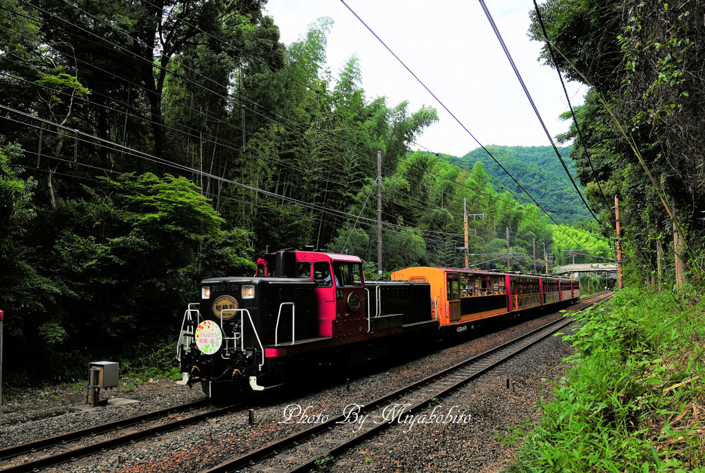 トロッコ列車