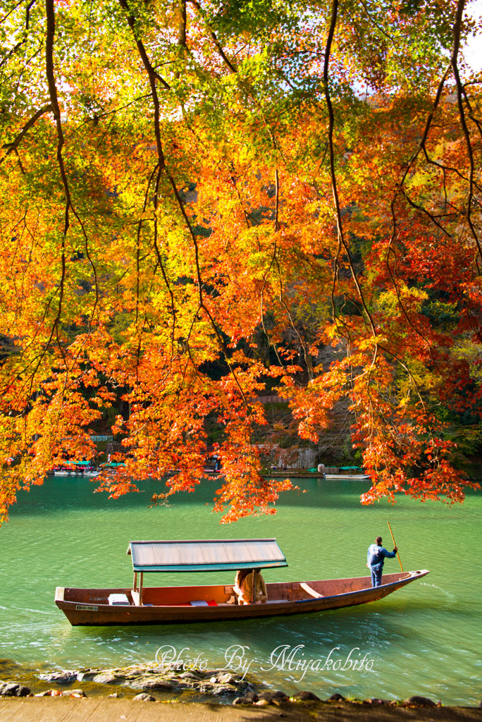 紅葉のジャワ―