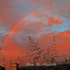 朝焼けの虹