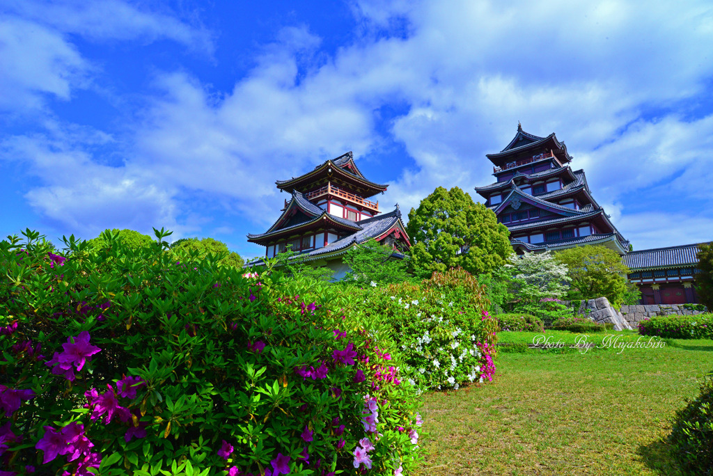 躑躅と桃山城
