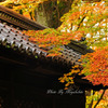古都の秋　４